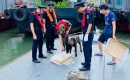 Mở đợt tấn công cao điểm chống buôn lậu, hàng giả trên toàn quốc