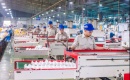 Tính ưu đãi thuế, doanh nghiệp phải tách bạch các khoản thu nhập