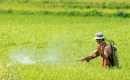 Bộ Nông nghiệp và Môi trường mở đợt cao điểm xử lý vật tư nông nghiệp giả
