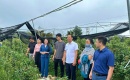 Hà Nội đạt chuẩn nông thôn mới toàn diện sau gần 15 năm triển khai Chương trình mục tiêu quốc gia