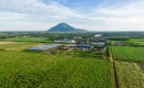 TTC Agris đề xuất mô hình Demofarm nông nghiệp công nghệ cao gắn với mía tại Gia Lai