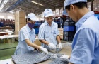 Tháng 1/2021, cả nước có gần 10.100 doanh nghiệp thành lập mới