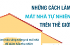 Những cách làm mát nhà tự nhiên trên thế giới