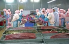 Mở rộng các FTA để tăng lực xuất khẩu cho hàng Việt