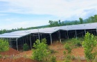 Nhiều trang trại ở Điện Bàn vi phạm quy định về đất đai   