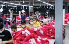 Doanh nghiệp Việt được gì từ các FTA?