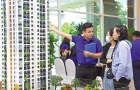 Căn hộ thứ cấp tại TP.HCM giá cao, nhưng khó chốt giao dịch