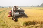Kinh tế tuần hoàn nông nghiệp cần một chiến lược riêng
