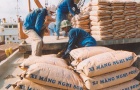 Doanh nghiệp xi măng đồng loạt tăng giá bán