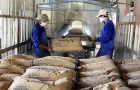 Tiêu thụ xi măng trong nước khó bật tăng, xuất khẩu bị phụ thuộc vào một thị trường