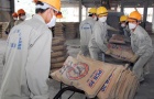 Xi măng mở rộng xuất khẩu