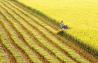 Nhiều chính sách thúc đẩy phát triển đồng bằng sông Cửu Long