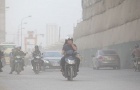 Thủ tướng chỉ đạo quyết liệt ngăn chặn, giải quyết tình trạng ô nhiễm môi trường