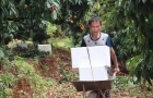 'Đòn bẩy' giúp vải thiều Tân Yên chinh phục thị trường khó tính