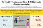 [Infographic] Từ 1/6, giảm mức đóng BHXH bắt buộc cho doanh nghiệp