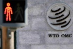 Tổng thống Mỹ Donald Trump: Sẽ rút khỏi WTO nếu cơ quan này 