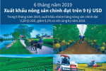 [Infographic] 6 tháng, xuất khẩu nông sản chính đạt trên 9 tỷ USD