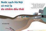 [Infographic] Nước sạch Hà Nội có mùi lạ do nhiễm dầu thải