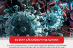 [Infographic] So sánh các chủng virus Corona