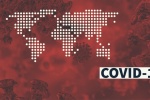 WHO lý giải tên gọi Covid-19 vừa đặt cho virus Corona chủng mới