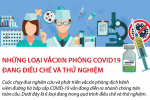 [Infographic] Những loại vắcxin phòng COVID19 đang điều chế và thử nghiệm