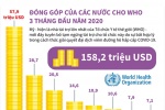 [Infographic] Đóng góp của các nước cho WHO 3 tháng đầu năm 2020