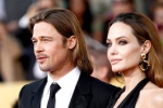 Tài tử Brad Pitt muốn giành quyền nuôi con với Angelina Jolie