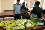 Hải quan bắt giữ vụ vận chuyển ma túy tại Cửa khẩu Cầu Treo