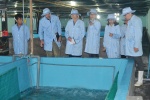 Chuyên gia Úc hỗ trợ Đắc Lộc (Phú Yên) công nghệ nuôi tôm hùm trên bờ
