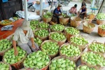 Danh tính 13 doanh nghiệp nhập khẩu trái cây tại UAE có dấu hiệu lừa đảo