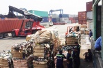 Hơn 500 container phế liệu bị trục xuất khỏi Việt Nam