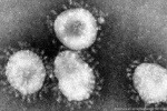 Trung Quốc công bố ca tử vong đầu tiên do virus viêm phổi lạ