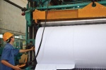 Sojitz dời Dự án bột giấy về Quảng Ninh?