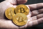 Đầu tư bitcoin: Rủi ro từ các sàn “không tóc”