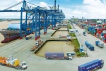 Tổng công ty Tân Cảng Sài Gòn hỗ trợ cho doanh nghiệp có container gạo chờ xuất khẩu