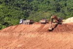 Bình Định: Đầu tư gần 140 tỷ đồng xây dựng nhà máy chế biến tinh bột sắn
