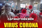 Tin tức cập nhật dịch virus Corona: Việt Nam có người 14 nhiễm virus Corona
