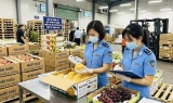 WHO khuyến nghị đổi mới quản lý an toàn thực phẩm từ gốc