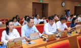 Hà Nội tán thành phương án tiếp nhận hơn 4.006 ha từ Phú Thọ