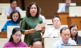 Luật Phát triển doanh nghiệp nhỏ và vừa dưới góc nhìn đại biểu là doanh nhân