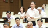 Đại biểu Quốc hội đề nghị đánh giá chất lượng tăng trưởng bằng thu nhập thực của người dân 