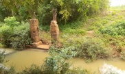a sample image
