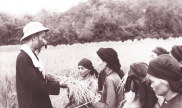 a sample image