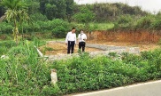 a sample image
