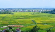 a sample image