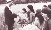 a sample image