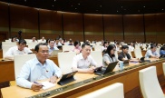 a sample image