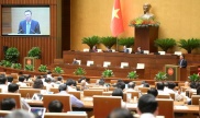 a sample image