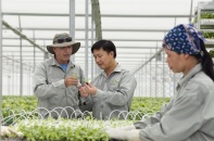 Tìm cơ hội "cất cánh" cho nông - lâm - ngư nghiệp Việt Nam 