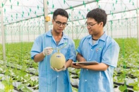PAN Farm muốn “ẵm trọn” Vinaseed
